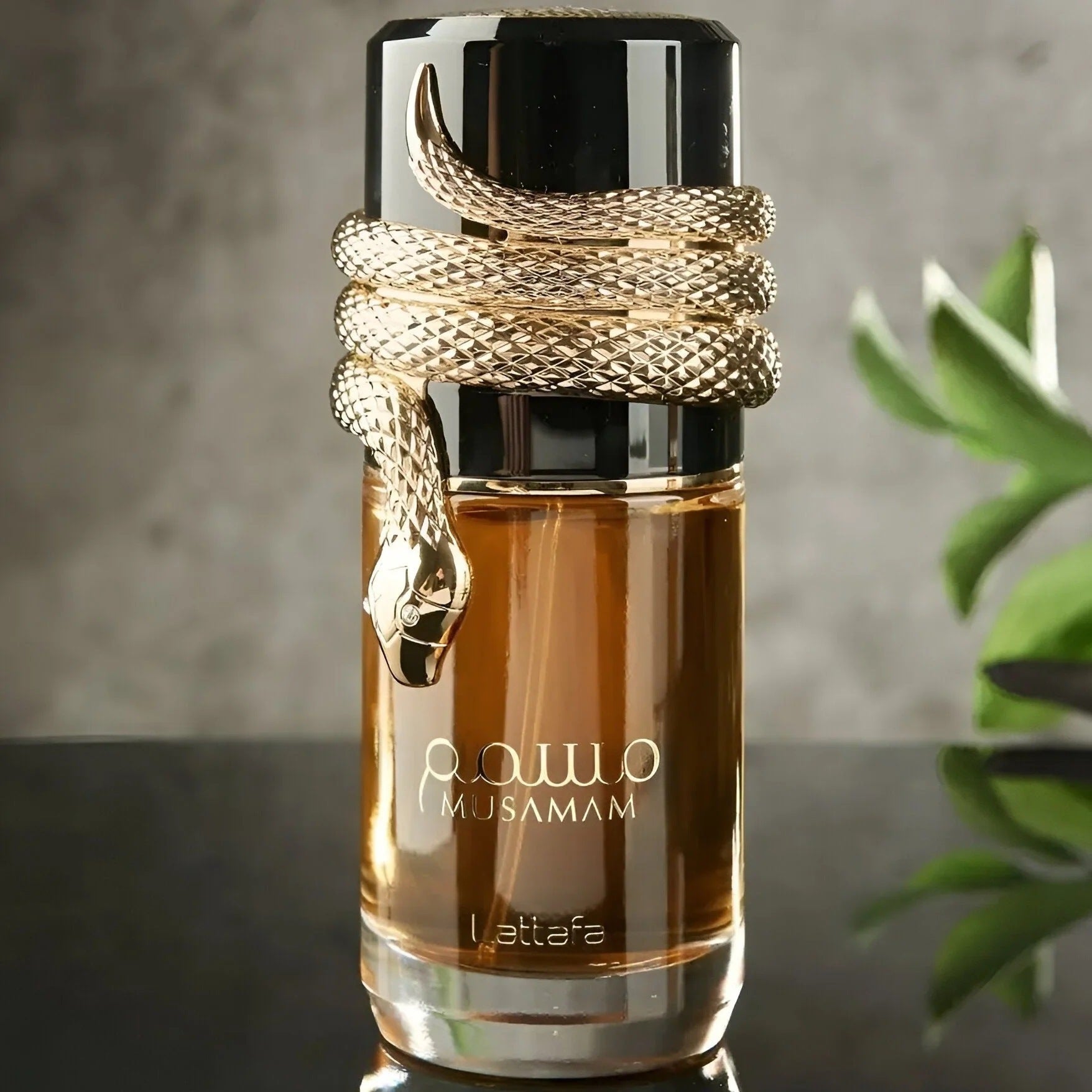 Lattafa Musamam 100ml Eau de Parfum – Serpent Mystery Arabian Perfume for Men & Women