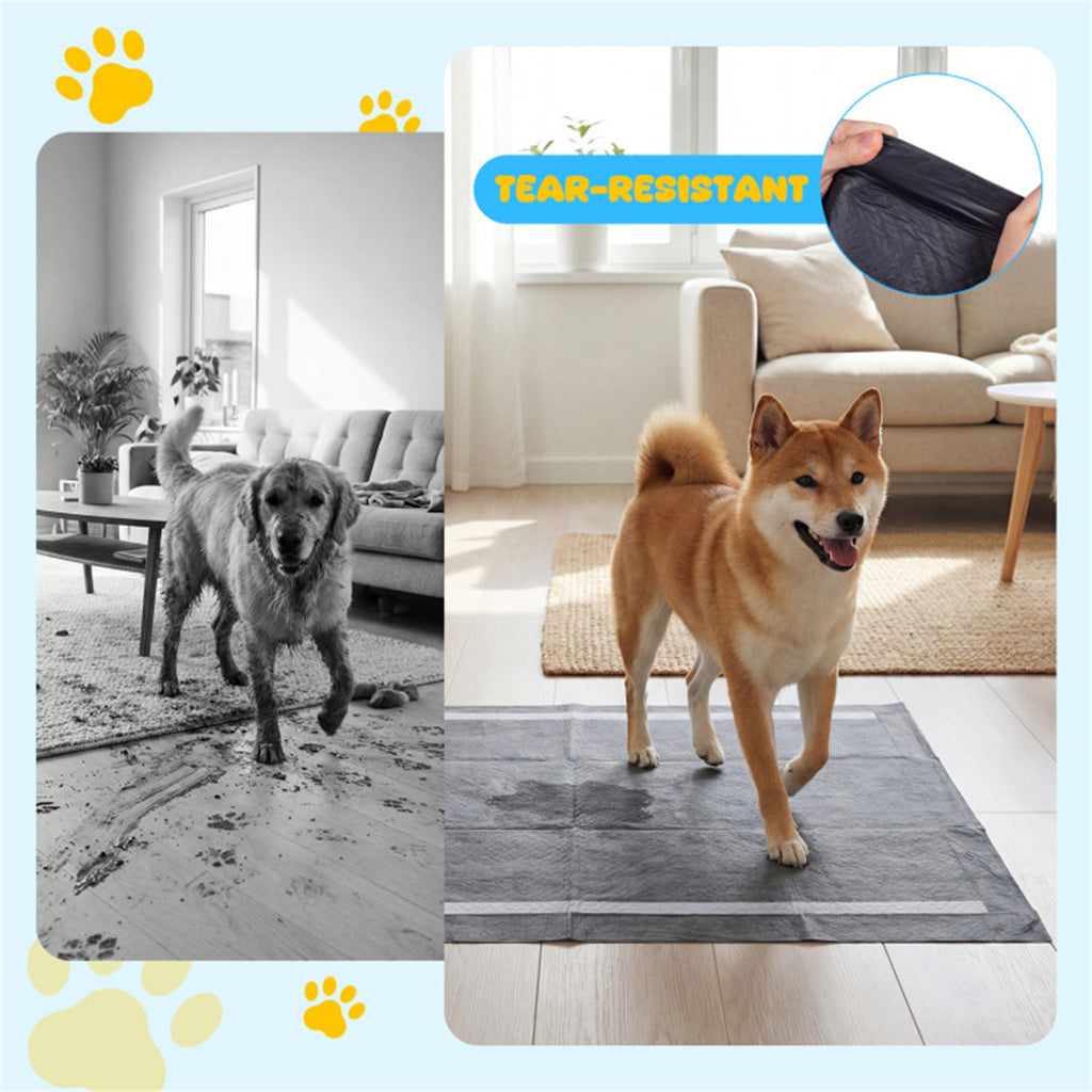 150 Pack Activated Carbon Dog Pee Pads 35.5"x24", Extra Large 6-Layer Odor Control Pet Training Pads US FREE SHIPPING
