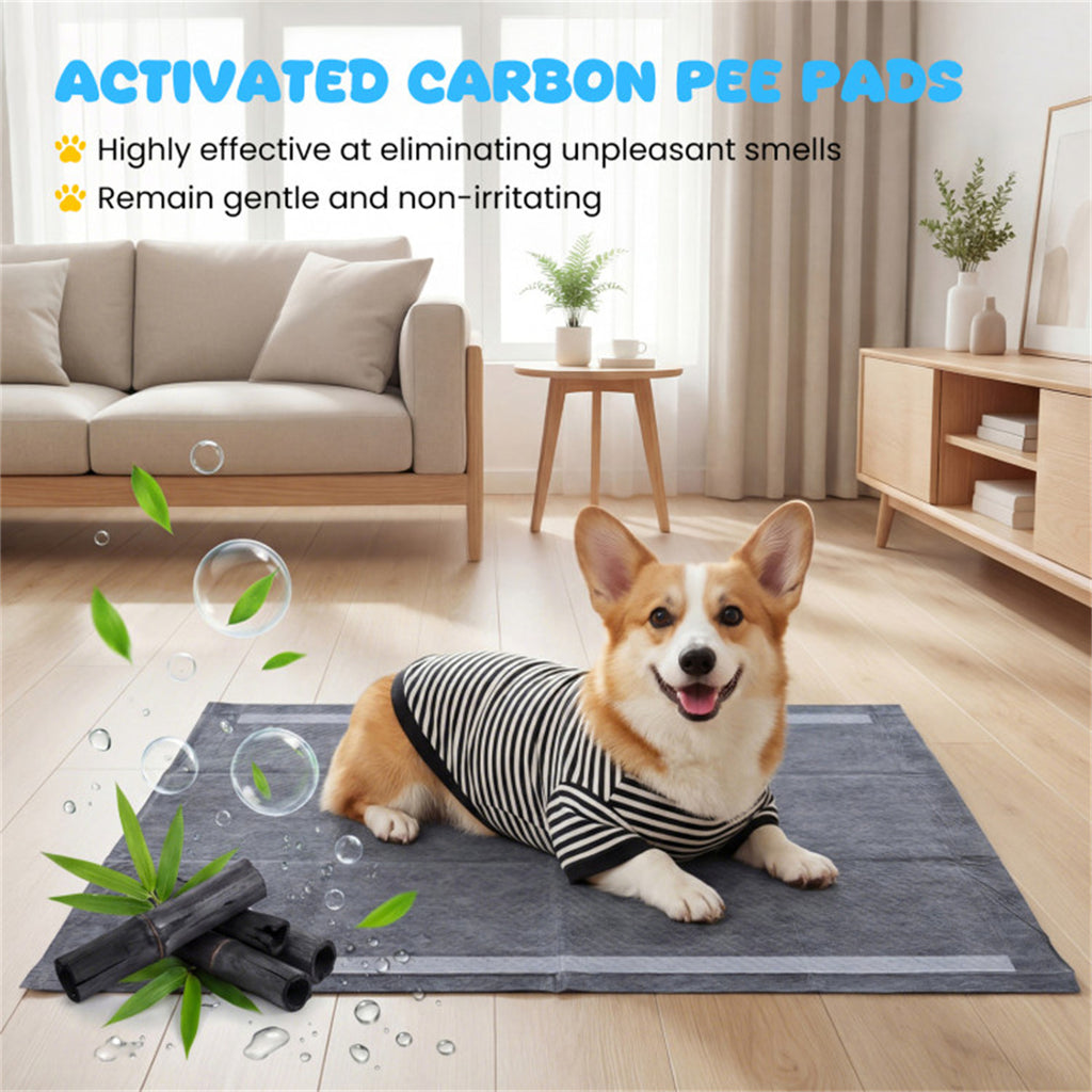 150 Pack Activated Carbon Dog Pee Pads 35.5"x24", Extra Large 6-Layer Odor Control Pet Training Pads US FREE SHIPPING