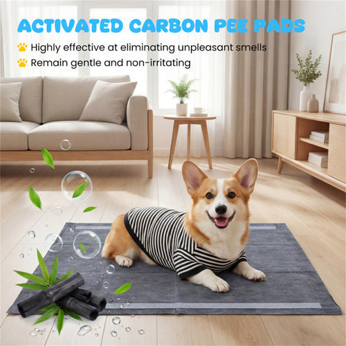 150 Pack Activated Carbon Dog Pee Pads 35.5"x24", Extra Large 6-Layer Odor Control Pet Training Pads US FREE SHIPPING