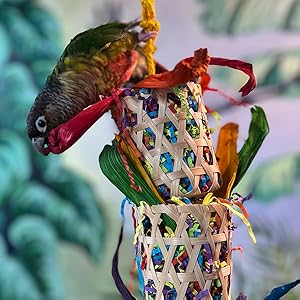Double Bamboo Basket Foraging Toy – Handmade Parrot Bird Toy with Hemp Rope & Crinkle Paper | WildRush