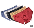 Ice Silk Satin Panties 5-Pack – Seamless Underwear for Women | WildRush