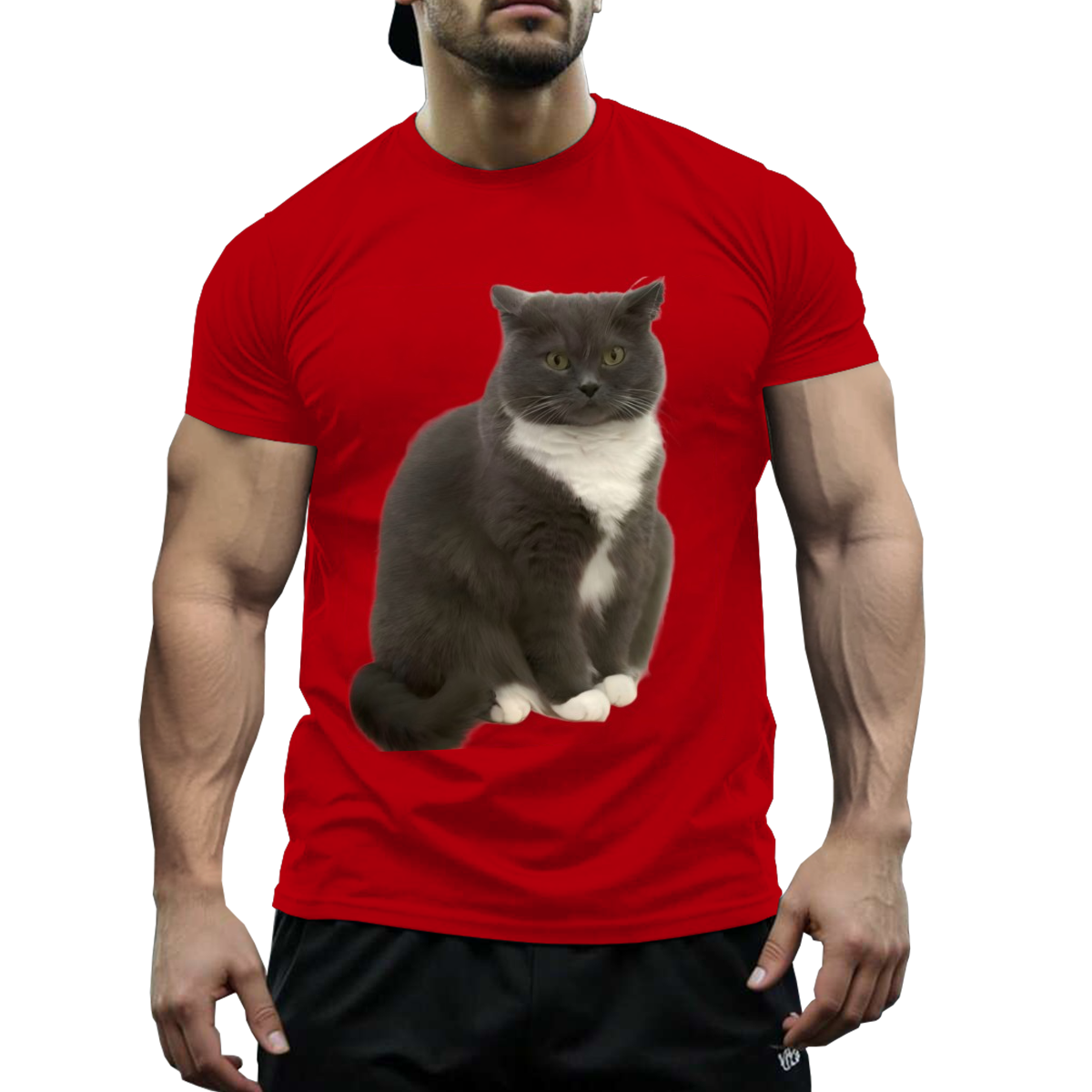 US STOCK FREE SHIPPING 180g Cotton My Cute Blue Cat Niche Design T-Shirt US 3-5 Days Delivered